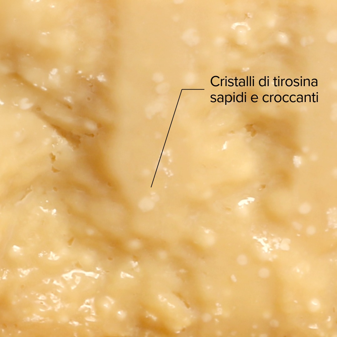 Over 80 Months – 0.8 Kg - Image 2